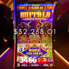 3466Bet - Brasil Aposta Oficial Plataforma -3466Bet.Com