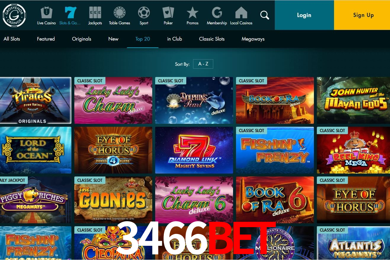 3466Bet: Seu Especialista em Apostas Esportivas Brasileiras